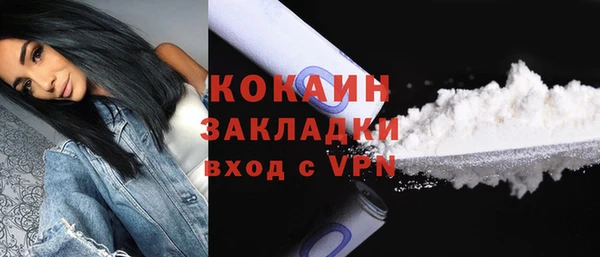 дурь Краснослободск