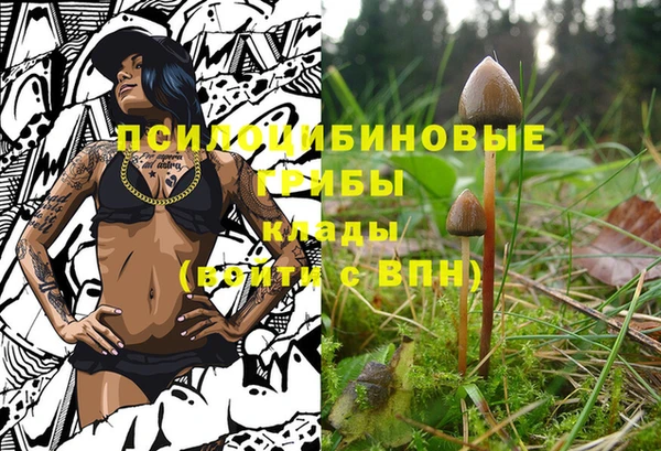 ПСИЛОЦИБИНОВЫЕ ГРИБЫ Краснотурьинск