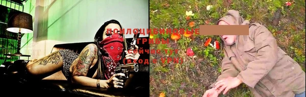 ПСИЛОЦИБИНОВЫЕ ГРИБЫ Краснотурьинск
