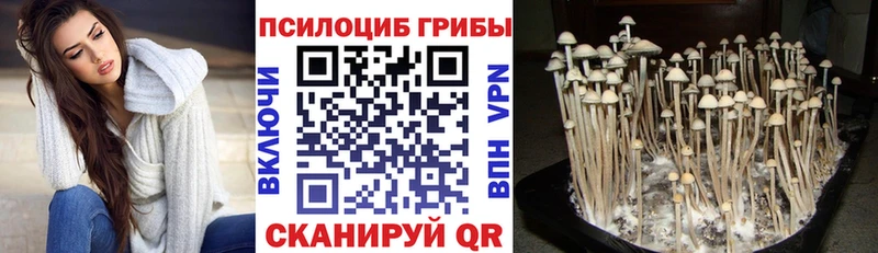 наркота  Оленегорск  Галлюциногенные грибы Magic Shrooms 